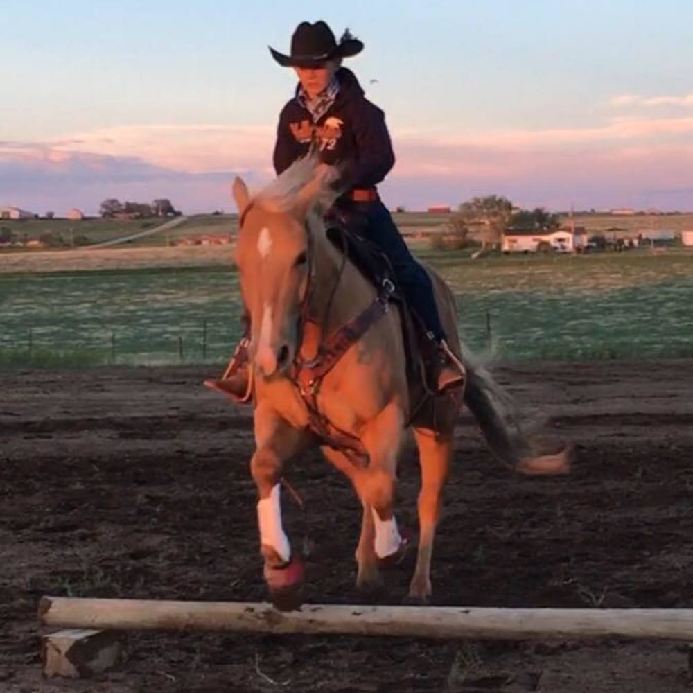 Meet your Posher, Michelle